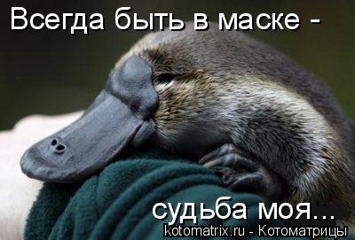 Всегда быть в маске - судьба моя...... Котоматрица: Всегда быть в маске - судьба моя...