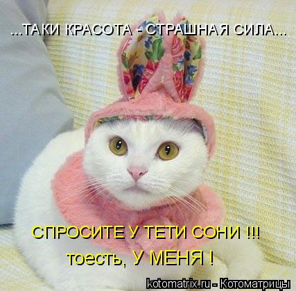 ...ТАКИ КРАСОТА - СТРАШНАЯ СИЛА... СПРОСИТЕ У ТЕТИ СОНИ !!! тоесть, У МЕНЯ !... Котоматрица: ...ТАКИ КРАСОТА - СТРАШНАЯ СИЛА... СПРОСИТЕ У ТЕТИ СОНИ !!! тоесть, У МЕНЯ !