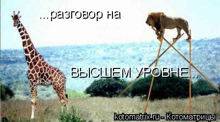 ...разговор на ВЫСШЕМ УРОВНЕ...... Котоматрица: ...разговор на ВЫСШЕМ УРОВНЕ...