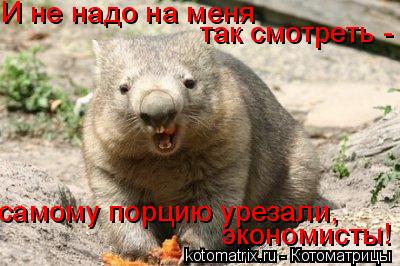 И не надо на меня так смотреть - самому порцию урезали, экономисты!... Котоматрица: И не надо на меня так смотреть - самому порцию урезали, экономисты!