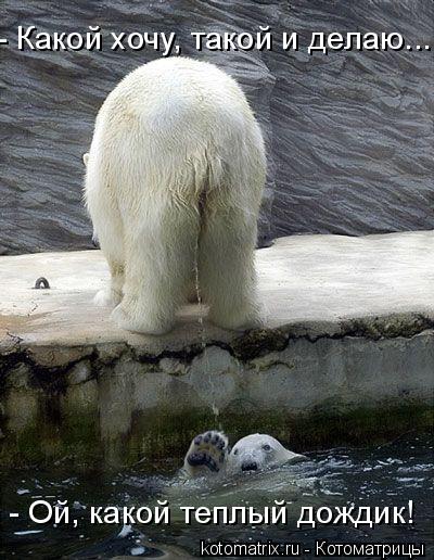 - Ой, какой теплый дождик! - Какой хочу, такой и делаю...... Котоматрица: - Ой, какой теплый дождик! - Какой хочу, такой и делаю...
