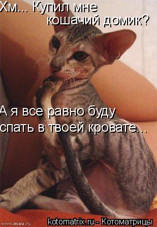 Хм... Купил мне кошачий домик? А я все равно буду спать в твоей кровате...... Котоматрица: Хм... Купил мне кошачий домик? А я все равно буду спать в твоей кровате...