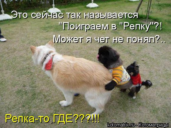 Это сейчас так называется "Поиграем в "Репку"?! Может я чет не понял?.. Репка-то ГДЕ???!!!... Котоматрица: Это сейчас так называется "Поиграем в "Репку"?! Может я чет не понял?.. Репка-то ГДЕ???!!!