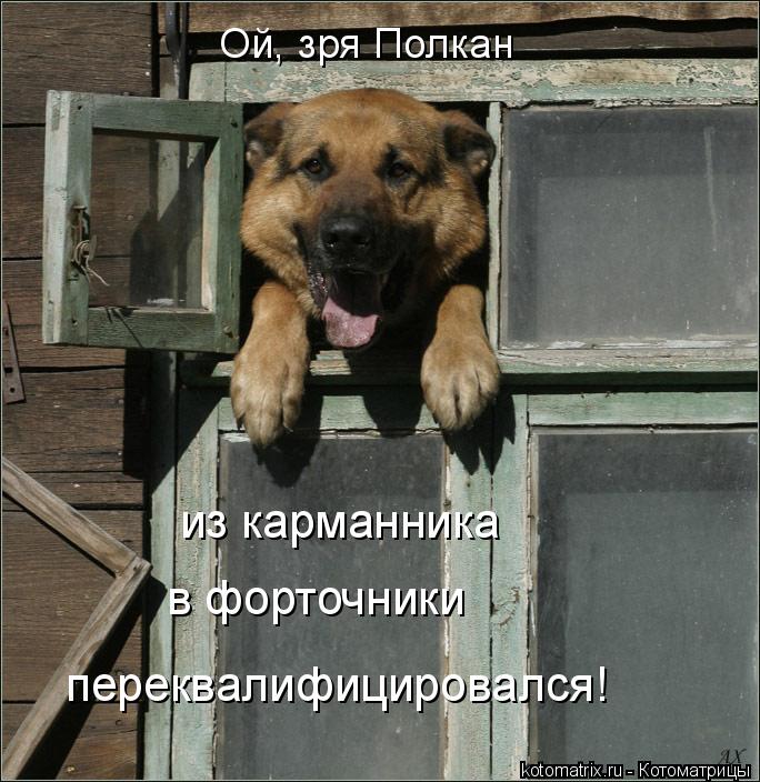 Ой, зря Полкан из карманника в форточники переквалифицировался!... Котоматрица: Ой, зря Полкан из карманника в форточники переквалифицировался!