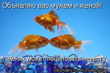 Объявляю вас мужем и женой! Жених может поцеловать невесту... Котоматрица: Объявляю вас мужем и женой! Жених может поцеловать невесту
