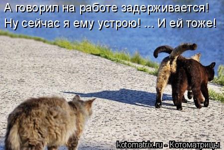 А говорил на работе задерживается! Ну сейчас я ему устрою! ... И ей тоже!... Котоматрица: А говорил на работе задерживается! Ну сейчас я ему устрою! ... И ей тоже!