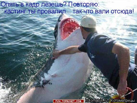 Опять в кадр лезешь? Повторяю: кастинг ты провалил... так что вали отсюда!... Котоматрица: Опять в кадр лезешь? Повторяю: кастинг ты провалил... так что вали отсюда!