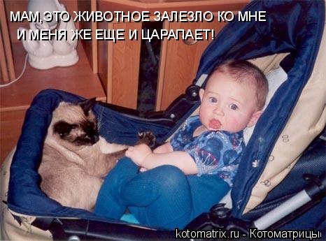 МАМ,ЭТО ЖИВОТНОЕ ЗАЛЕЗЛО КО МНЕ И МЕНЯ ЖЕ ЕЩЕ И ЦАРАПАЕТ!... Котоматрица: МАМ,ЭТО ЖИВОТНОЕ ЗАЛЕЗЛО КО МНЕ И МЕНЯ ЖЕ ЕЩЕ И ЦАРАПАЕТ!