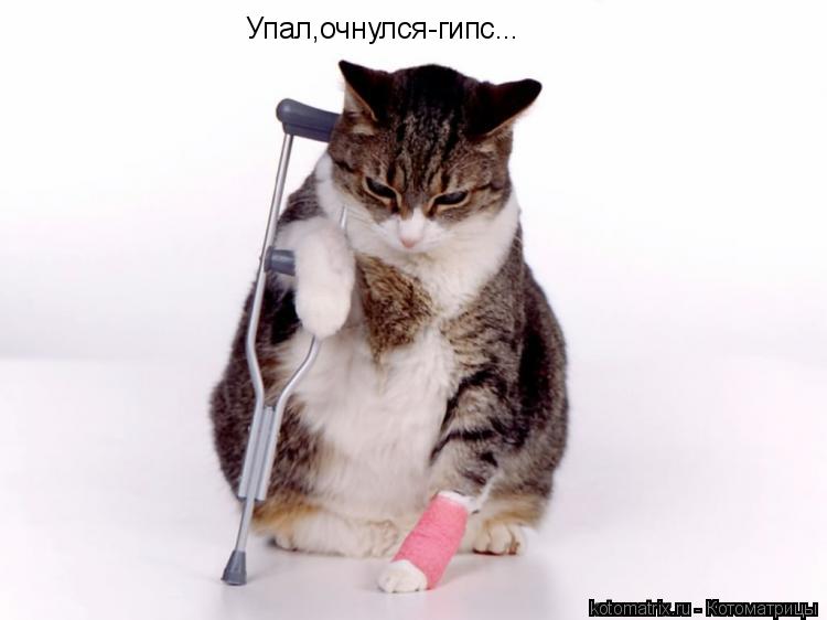 Упал,очнулся-гипс...... Котоматрица: Упал,очнулся-гипс...