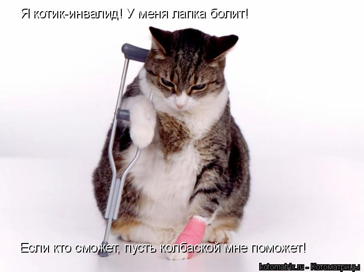 Я котик-инвалид! У меня лапка болит! Если кто сможет, пусть колбаской мне поможет!... Котоматрица: Я котик-инвалид! У меня лапка болит! Если кто сможет, пусть колбаской мне поможет!