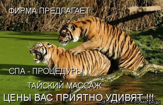 Котоматрица: ФИРМА ПРЕДЛАГАЕТ : СПА - ПРОЦЕДУРЫ, ТАЙСКИЙ МАССАЖ ЦЕНЫ ВАС ПРИЯТНО УДИВЯТ !!!