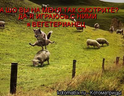 А ШО ВЫ НА МЕНЯ ТАК СМОТРИТЕ? ДА Я ИГРАЮСЬ С НИМИ я ВЕГЕТЕРИАНЕЦ... Котоматрица: А ШО ВЫ НА МЕНЯ ТАК СМОТРИТЕ? ДА Я ИГРАЮСЬ С НИМИ я ВЕГЕТЕРИАНЕЦ