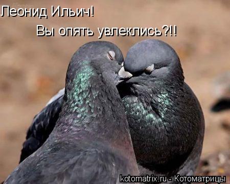 Леонид Ильич! Вы опять увлеклись?!!... Котоматрица: Леонид Ильич! Вы опять увлеклись?!!