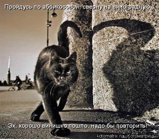 Пройдусь по абрикосовой, сверну на виноградную... Эх, хорошо винишко пошло, надо бы повторить!... Котоматрица: Пройдусь по абрикосовой, сверну на виноградную... Эх, хорошо винишко пошло, надо бы повторить!