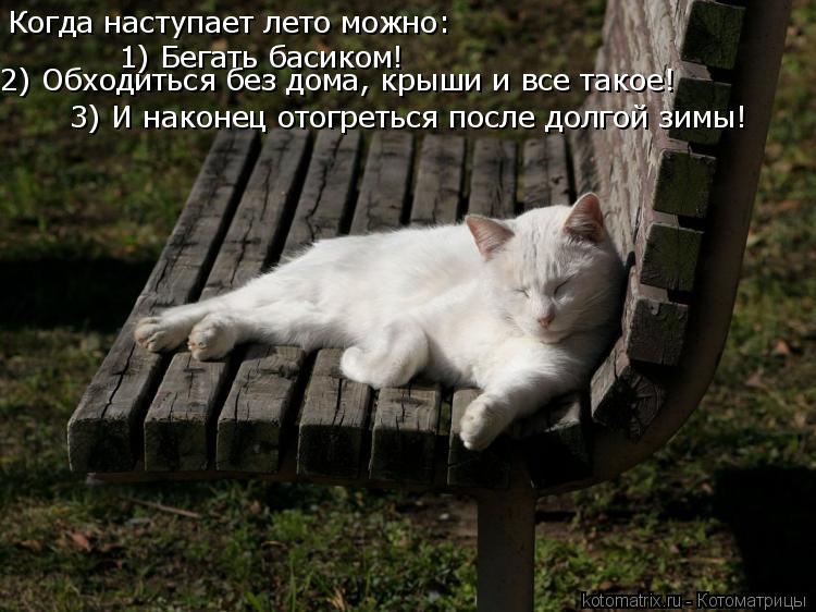 Когда наступает лето можно: 1) Бегать басиком! 2) Обходиться без дома, крыши и все такое! 3) И наконе... Котоматрица: Когда наступает лето можно: 1) Бегать басиком! 2) Обходиться без дома, крыши и все такое! 3) И наконец отогреться после долгой зимы!