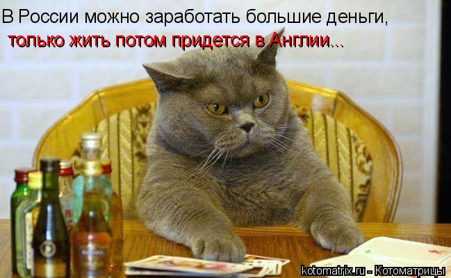 В России можно заработать большие деньги, только жить потом придется в Англии...... Котоматрица: В России можно заработать большие деньги, только жить потом придется в Англии...