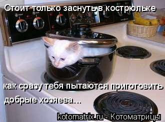 Стоит только заснуть в кострюльке как сразу тебя пытаются приготовить добрые хозяева...... Котоматрица: Стоит только заснуть в кострюльке как сразу тебя пытаются приготовить добрые хозяева...