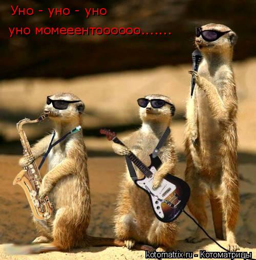 Уно - уно - уно уно момееентоооооо.......... Котоматрица: Уно - уно - уно уно момееентоооооо.......