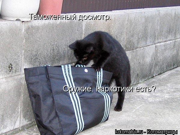 Оружие, наркотики есть? Таможенный досмотр.... Котоматрица: Оружие, наркотики есть? Таможенный досмотр.