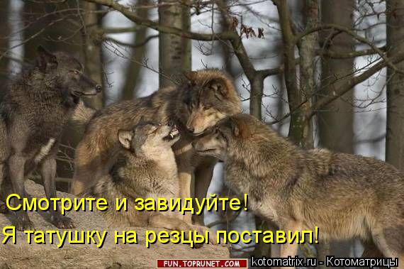 Смотрите и завидуйте! Я татушку на резцы поставил!... Котоматрица: Смотрите и завидуйте! Я татушку на резцы поставил!