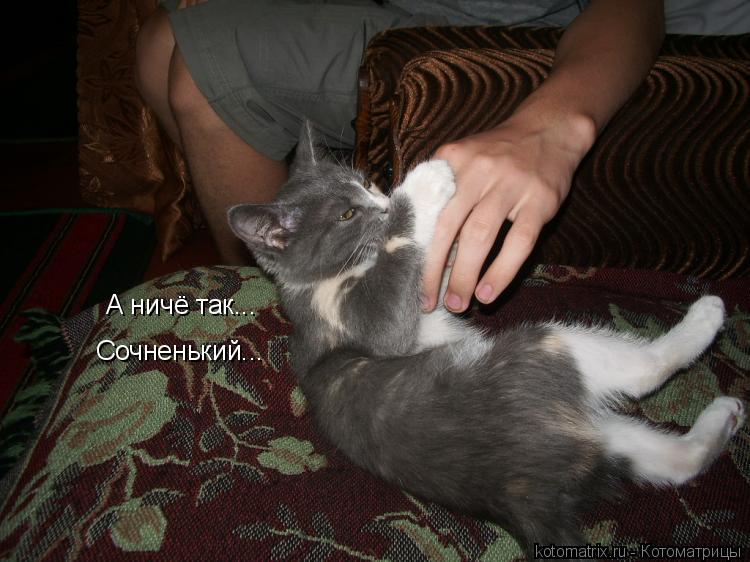А ничё так... Сочненький...... Котоматрица: А ничё так... Сочненький...