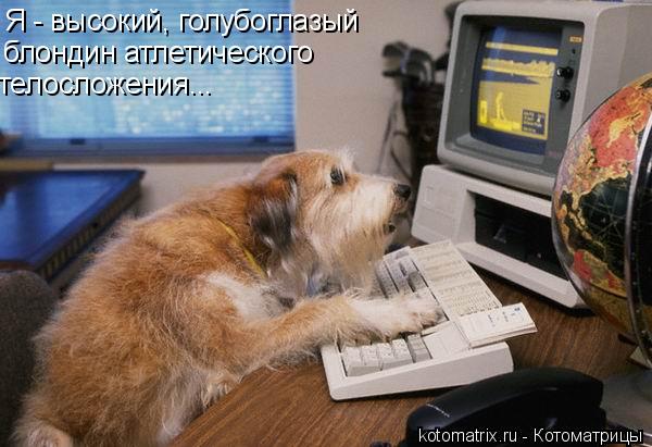 Я - высокий, голубоглазый блондин атлетического телосложения...... Котоматрица: Я - высокий, голубоглазый блондин атлетического телосложения...