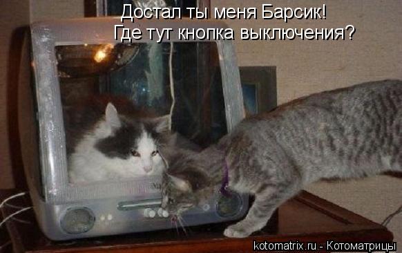 Достал ты меня Барсик! Где тут кнопка выключения?... Котоматрица: Достал ты меня Барсик! Где тут кнопка выключения?