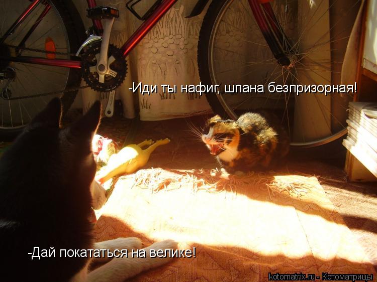 -Дай покататься на велике! -Иди ты нафиг, шпана безпризорная!... Котоматрица: -Дай покататься на велике! -Иди ты нафиг, шпана безпризорная!