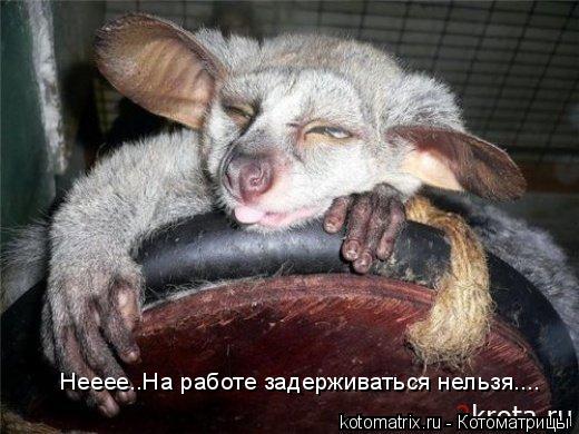 Нееее..На работе задерживаться нельзя....... Котоматрица: Нееее..На работе задерживаться нельзя....