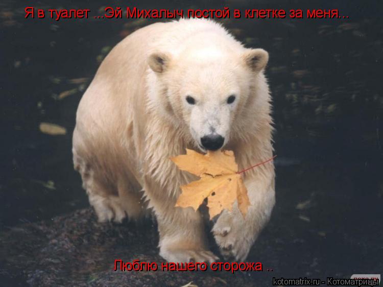 Я в туалет ...Эй Михалыч постой в клетке за меня... Люблю нашего сторожа ..... Котоматрица: Я в туалет ...Эй Михалыч постой в клетке за меня... Люблю нашего сторожа ..