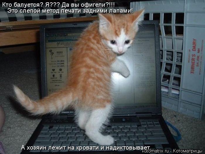 Кто балуется? Я??? Да вы офигели?!!! Это слепой метод печати задними лапами! А хозяин лежит на кроват... Котоматрица: Кто балуется? Я??? Да вы офигели?!!! Это слепой метод печати задними лапами! А хозяин лежит на кровати и надиктовывает.