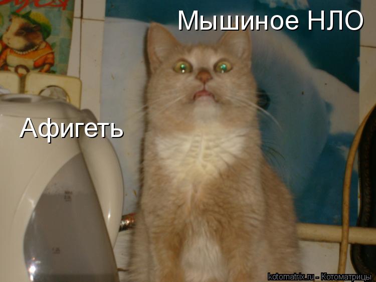 Афигеть Мышиное НЛО... Котоматрица: Афигеть Мышиное НЛО