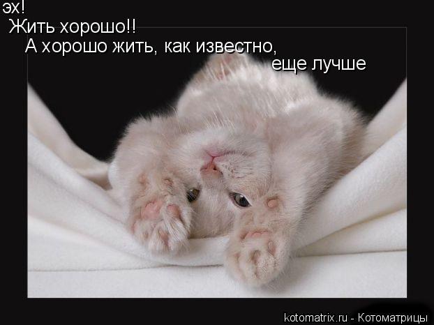 эх! Жить хорошо!! А хорошо жить, как известно, еще лучше... Котоматрица: эх! Жить хорошо!! А хорошо жить, как известно, еще лучше