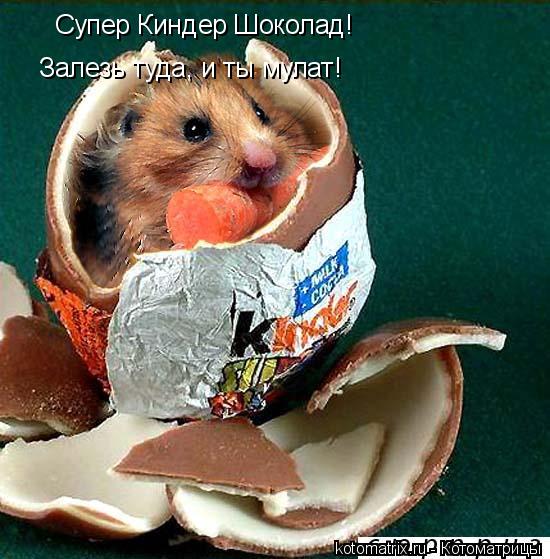 Супер Киндер Шоколад! Залезь туда, и ты мулат!... Котоматрица: Супер Киндер Шоколад! Залезь туда, и ты мулат!