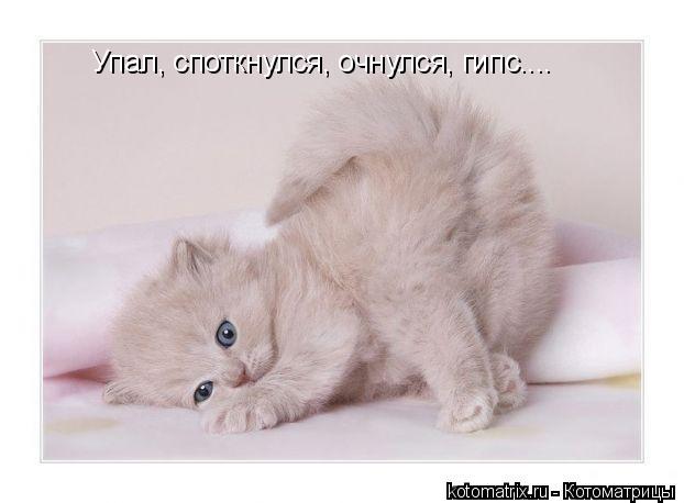 Упал, споткнулся, очнулся, гипс....... Котоматрица: Упал, споткнулся, очнулся, гипс....