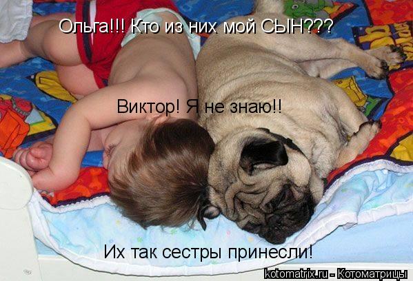 Ольга!!! Кто из них мой СЫН??? Виктор! Я не знаю!! Их так сестры принесли!... Котоматрица: Ольга!!! Кто из них мой СЫН??? Виктор! Я не знаю!! Их так сестры принесли!