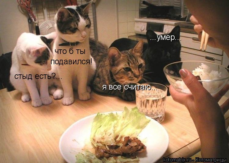 стыд есть?... подавился! что б ты я все считаю... ...умер...... Котоматрица: стыд есть?... подавился! что б ты я все считаю... ...умер...