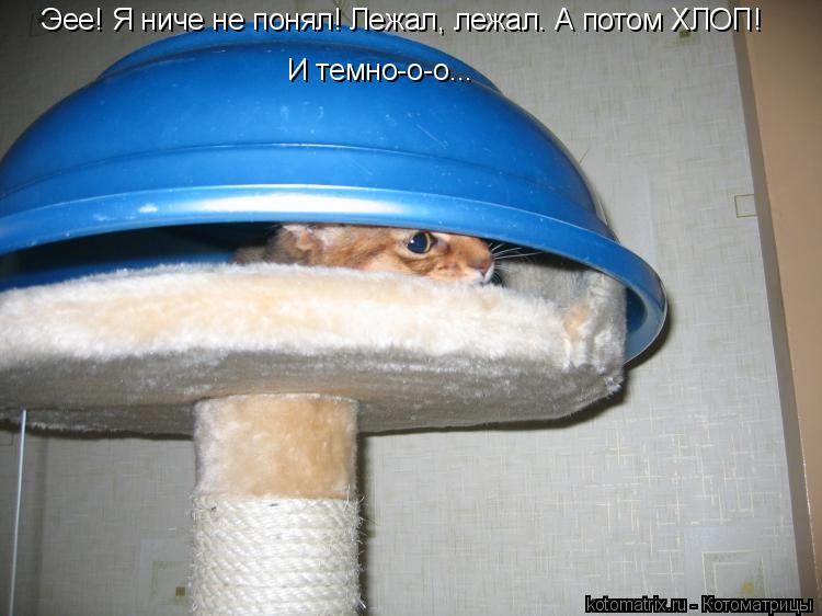 Эее! Я ниче не понял! Лежал, лежал. А потом ХЛОП! И темно-о-о...... Котоматрица: Эее! Я ниче не понял! Лежал, лежал. А потом ХЛОП! И темно-о-о...