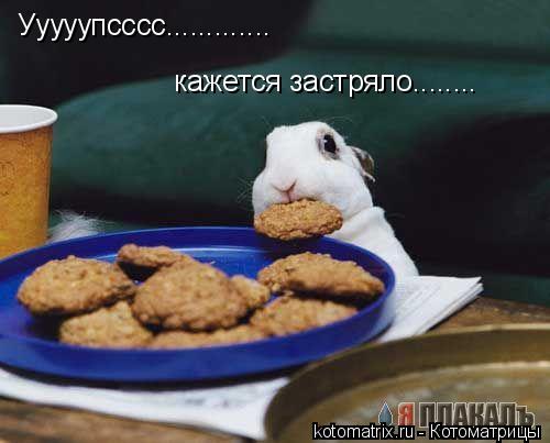 Ууууупсссс............. кажется застряло........... Котоматрица: Ууууупсссс............. кажется застряло........
