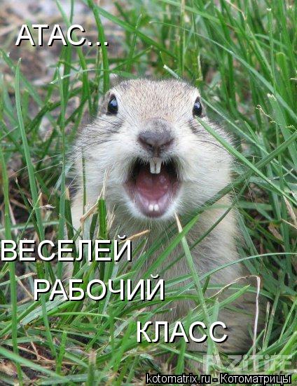 АТАС... ВЕСЕЛЕЙ РАБОЧИЙ КЛАСС... Котоматрица: АТАС... ВЕСЕЛЕЙ РАБОЧИЙ КЛАСС