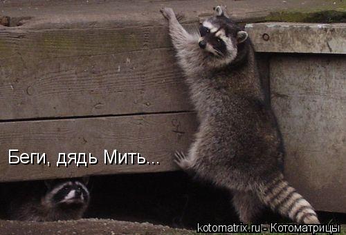 Беги, дядь Мить...... Котоматрица: Беги, дядь Мить...