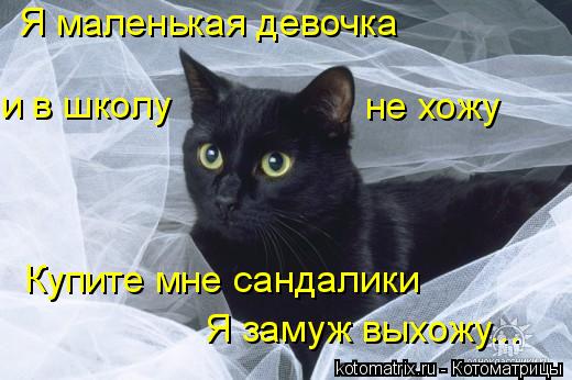 Купите мне сандалики я замуж выхожу Котоматрица: Я маленькая девочка и в школу не хожу Купите мне сандалики Я замуж 