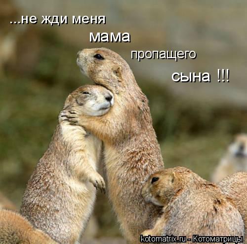 ...не жди меня мама пропащего сына !!!... Котоматрица: ...не жди меня мама пропащего сына !!!