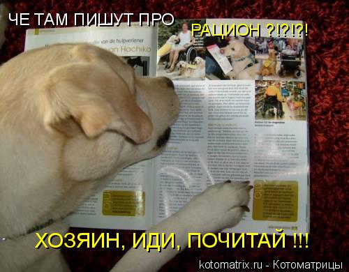 ЧЕ ТАМ ПИШУТ ПРО РАЦИОН ?!?!?! ХОЗЯИН, ИДИ, ПОЧИТАЙ !!!... Котоматрица: ЧЕ ТАМ ПИШУТ ПРО РАЦИОН ?!?!?! ХОЗЯИН, ИДИ, ПОЧИТАЙ !!!