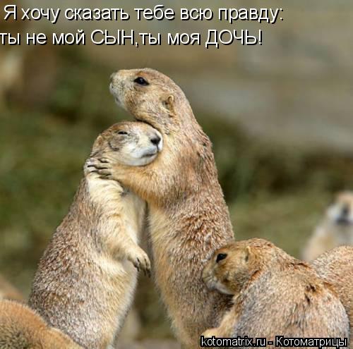 Я хочу сказать тебе всю правду: ты не мой СЫН,ты моя ДОЧЬ!... Котоматрица: Я хочу сказать тебе всю правду: ты не мой СЫН,ты моя ДОЧЬ!