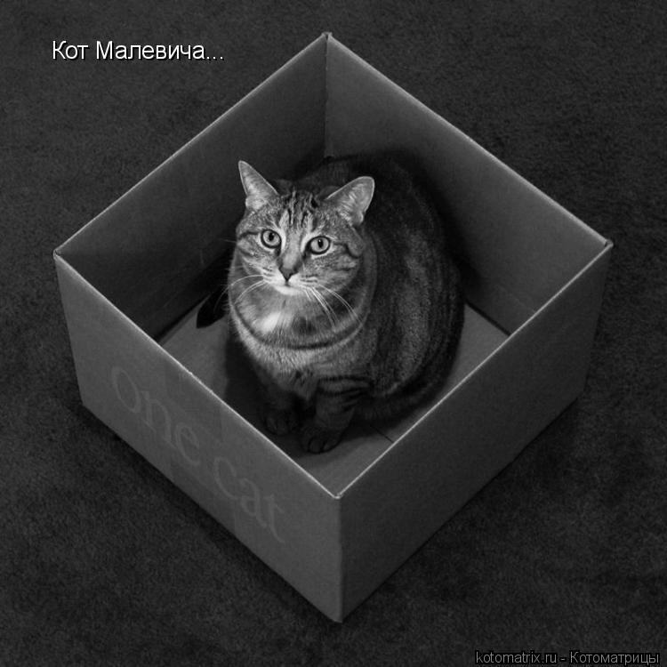 Кот Малевича...... Котоматрица: Кот Малевича...