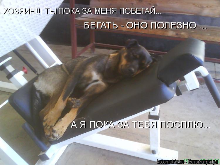 БЕГАТЬ - ОНО ПОЛЕЗНО ... ХОЗЯИН!!! ТЫ ПОКА ЗА МЕНЯ ПОБЕГАЙ... А Я ПОКА ЗА ТЕБЯ ПОСПЛЮ...... Котоматрица: БЕГАТЬ - ОНО ПОЛЕЗНО ... ХОЗЯИН!!! ТЫ ПОКА ЗА МЕНЯ ПОБЕГАЙ... А Я ПОКА ЗА ТЕБЯ ПОСПЛЮ...