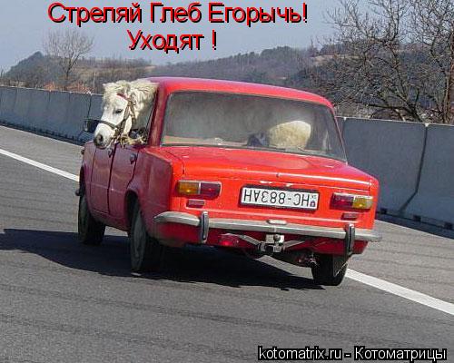 Стреляй Глеб Егорычь! Уходят !... Котоматрица: Стреляй Глеб Егорычь! Уходят !