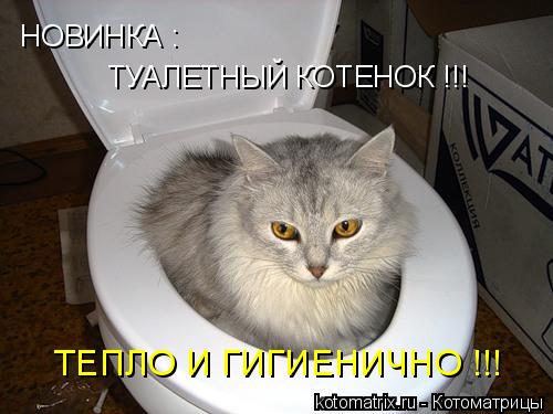 НОВИНКА : ТУАЛЕТНЫЙ КОТЕНОК !!! ТЕПЛО И ГИГИЕНИЧНО !!!... Котоматрица: НОВИНКА : ТУАЛЕТНЫЙ КОТЕНОК !!! ТЕПЛО И ГИГИЕНИЧНО !!!