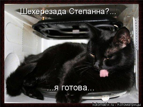 Шехерезада Степанна?... ...я готова...... Котоматрица: Шехерезада Степанна?... ...я готова...